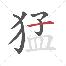 猛的笔顺第6画：横