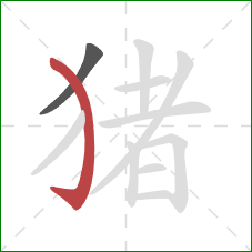 猪的笔顺第2画：弯钩