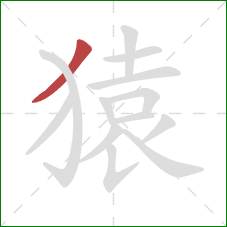 猿的笔顺第1画:撇 猿的笔顺第1画:撇