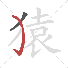 猿的笔顺第2画:弯钩 猿的笔顺第2画:弯钩