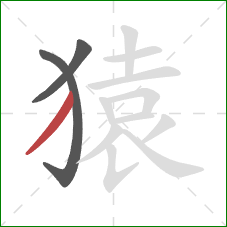 猿的笔顺第3画:撇 猿的笔顺第3画:撇