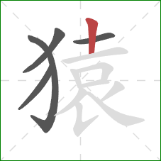 猿的笔顺第5画:竖 猿的笔顺第5画:竖