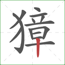 獐的笔顺第14画:竖 獐的笔顺第14画:竖