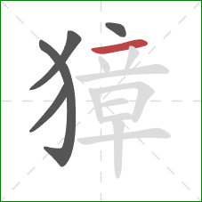 獐的笔顺第5画:横 獐的笔顺第5画:横