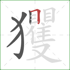 玃的笔顺第5画：横折