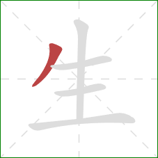 生的笔顺第1画：撇