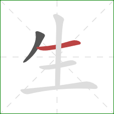 生的笔顺第2画：横