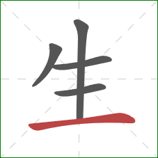 生的笔顺第5画：横