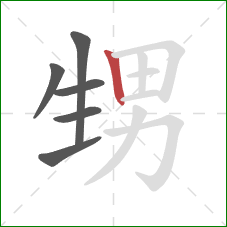 甥的笔顺第6画：竖