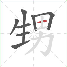 甥的笔顺第8画：横