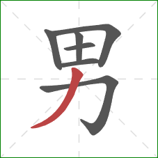 男的笔顺第7画：撇