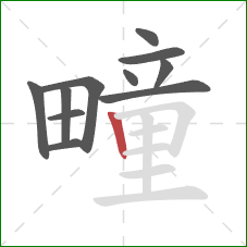 疃的笔顺第11画:竖 疃的笔顺第11画:竖