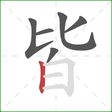 皆的笔顺第6画：竖