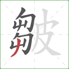 皺的笔顺第10画:撇 皺的笔顺第10画:撇