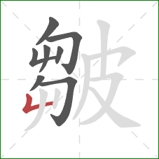 皺的笔顺第8画:竖折 皺的笔顺第8画:竖折