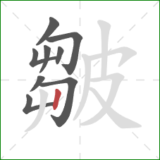 皺的笔顺第9画:竖 皺的笔顺第9画:竖