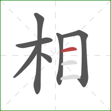 相的笔顺第7画：横
