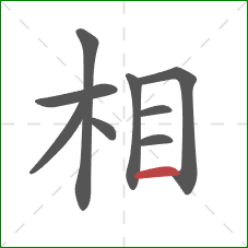 相的笔顺第9画：横