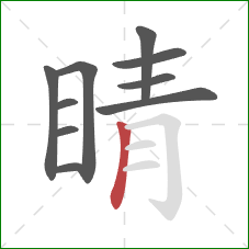 睛的笔顺第10画：竖