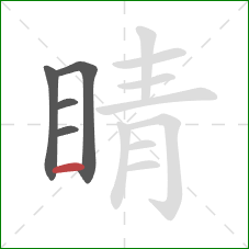 睛的笔顺第5画：横