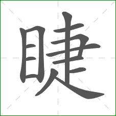 睫的部首 睫的部首