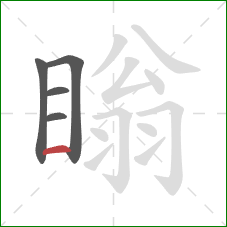 瞈的笔顺第5画:横 瞈的笔顺第5画:横