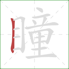 瞳的笔顺第1画:竖 瞳的笔顺第1画:竖