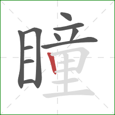 瞳的笔顺第11画:竖 瞳的笔顺第11画:竖