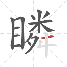 瞵的笔顺第15画:横 瞵的笔顺第15画:横