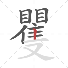 矍的笔顺第17画:竖 矍的笔顺第17画:竖