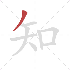 知的笔顺第1画：撇