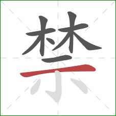禁的笔顺第10画：横