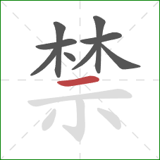 禁的笔顺第9画：横