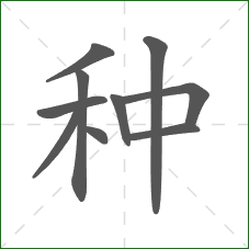 种的部首 种的部首