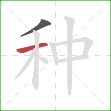 种的笔顺第2画:横 种的笔顺第2画:横