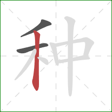 种的笔顺第3画:竖 种的笔顺第3画:竖