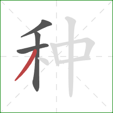 种的笔顺第4画:撇 种的笔顺第4画:撇