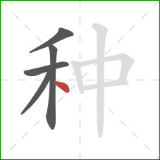 种的笔顺第5画:点 种的笔顺第5画:点