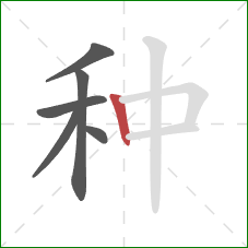种的笔顺第6画:竖 种的笔顺第6画:竖