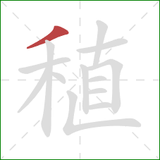 稙的笔顺第1画：撇