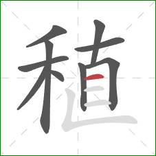 稙的笔顺第10画：横