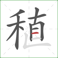 稙的笔顺第11画：横