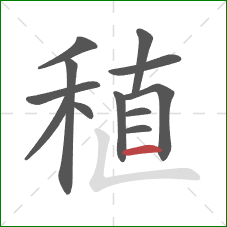 稙的笔顺第12画：横