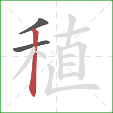 稙的笔顺第3画：竖