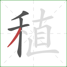 稙的笔顺第4画：撇