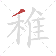 稚的笔顺第1画:撇 稚的笔顺第1画:撇