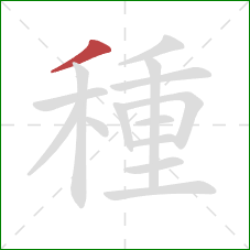 種的笔顺第1画:撇 種的笔顺第1画:撇