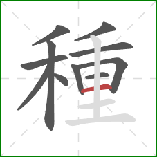 種的笔顺第11画:横 種的笔顺第11画:横