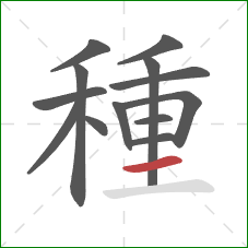 種的笔顺第13画:竖 種的笔顺第13画:竖