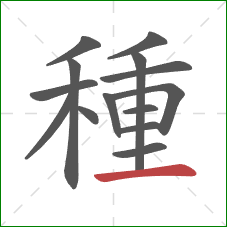 種的笔顺第14画:横 種的笔顺第14画:横